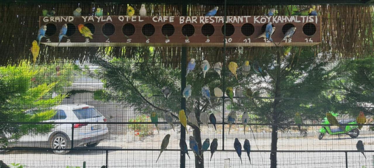 Grand Yayla Hotel Çeşme Zewnętrze zdjęcie